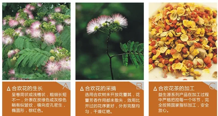 Silktree Albizziae Flower Tea60g Chinese Flower Tea Flower Feet Tea Leaf Plucking Machineflower Tea Light Holder Aliexpress