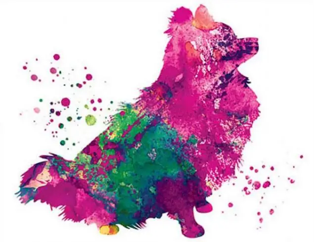 watercolor Dog, Pomeranian