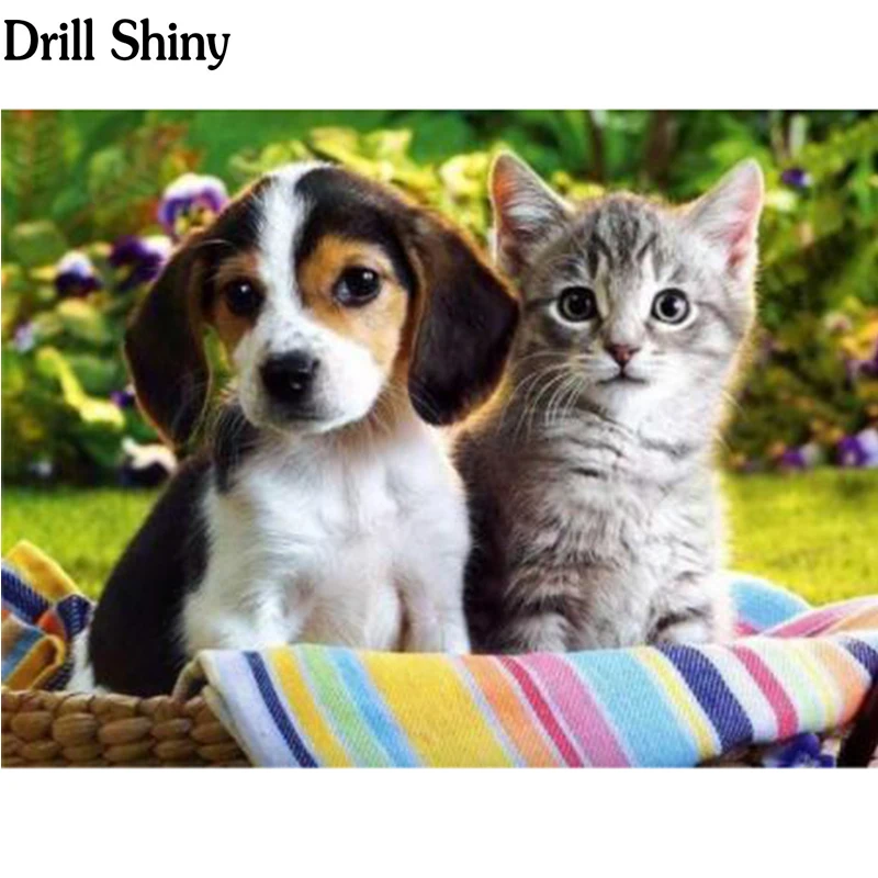 Полный Круглый Алмаз 5D DIY Алмазная картина фото на заказ "собака и кошка" 3D вышивка крестиком Мозаика Декор FC1145