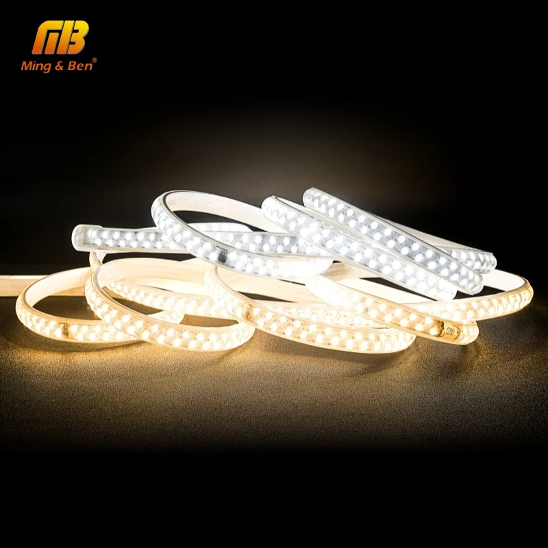 

No Flicker 1-20M LED Flexible Strip 220V SMD2835 Waterproof IP67 188LEDs/m High Brightness Led Strip Christmas Decoration Light