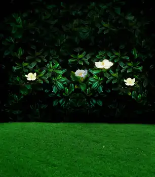 

TR 8x8FT Custom Photography Backgrounds Studio Backdrops Spring Green Plant with White Flowers Green Grass Spring Vinyl Backdrop