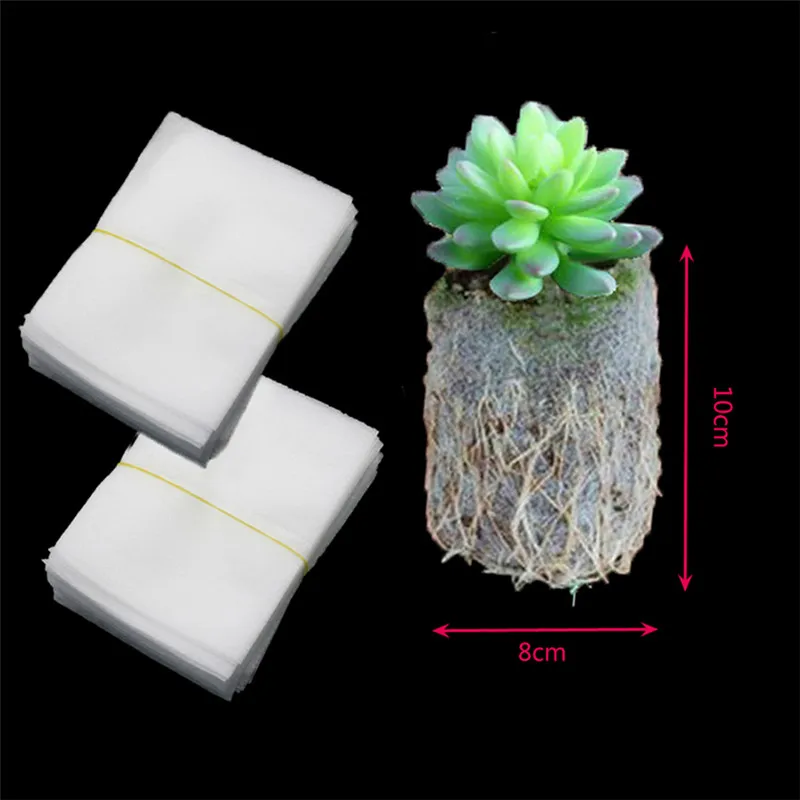 

meikkmmsb80usd5colours Seedling tray vegetable flat plate non-porous forest transparent nursery tray baile li 8.13