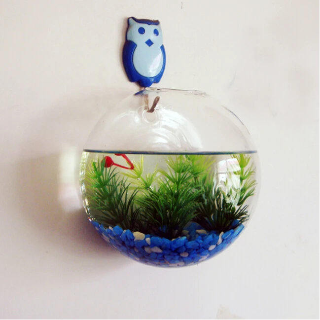 Diameter = 10cm Wall mounted Glass Aquarium Creative Glass Terrarium
