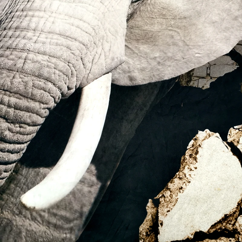 Индивидуальные слон Постельное белье 3D печатных пододеяльник двойной Черный и белый Покрывало наволочки постельное белье 2/3 шт.#/j