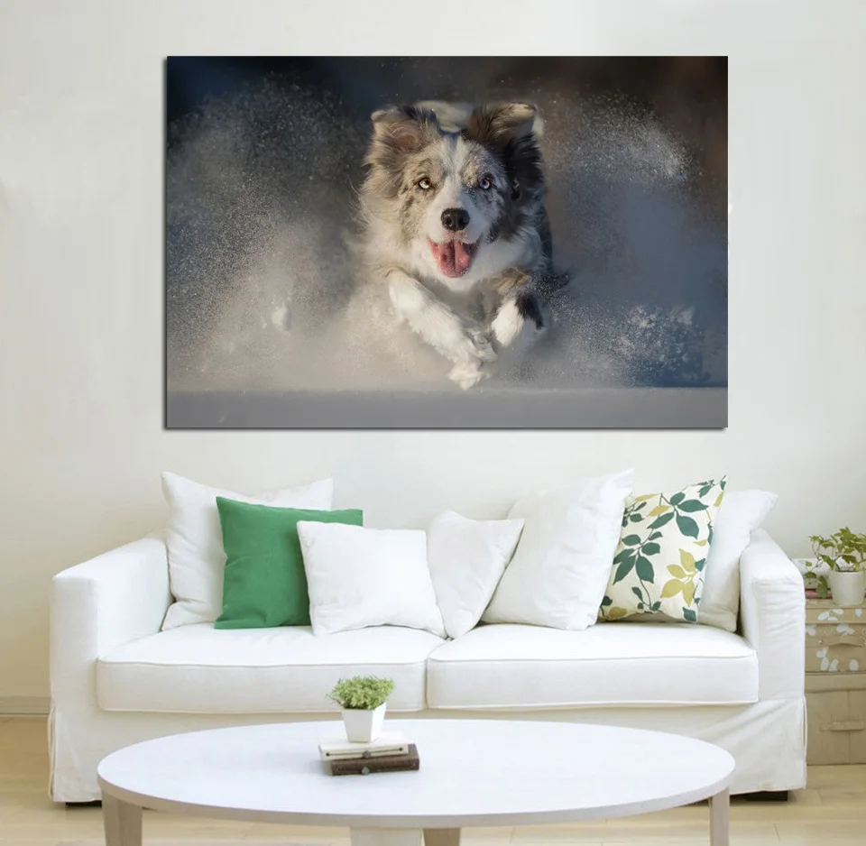 australian shepherd wall art