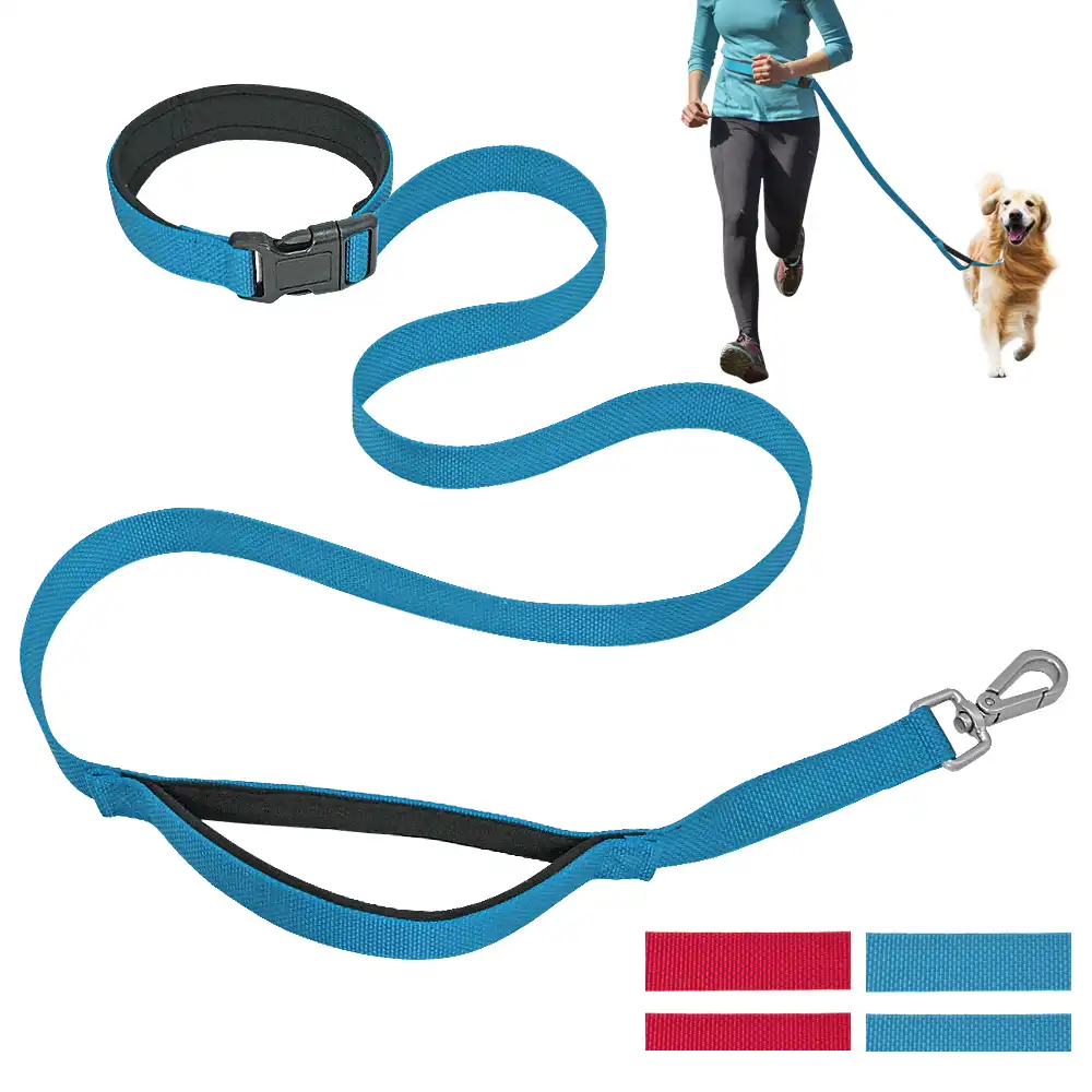 waist dog lead for 2 dogs