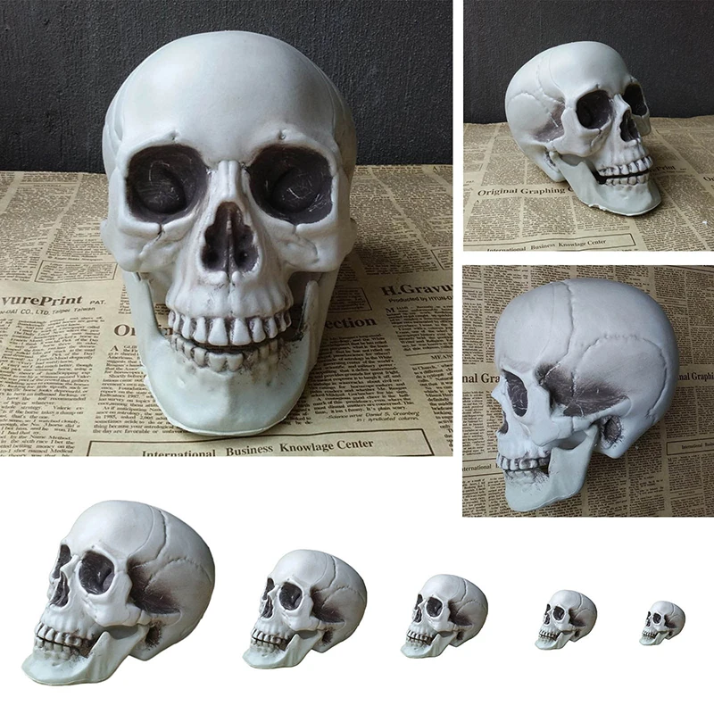 

Horror Prop Plastic Skull Head Halloween Decoration Artificial Skull Head Model Coffee Bars Ornament DIY Party Decorations