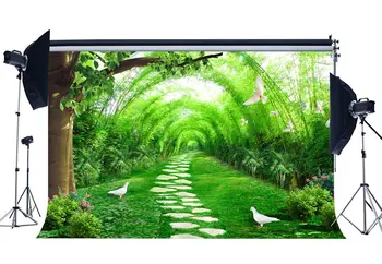 

Countyard Garden Backdrop Spring Green Arch Trees White Dove Fresh Flowers Green Grass Meadow Photography Background