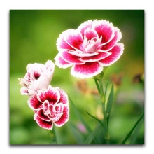 5d обычай алмаз живопись цветок орхидеи вышивка крестиком Снеговик санта-клаус дар home decor diy pintura стразами ponto cruz фильм