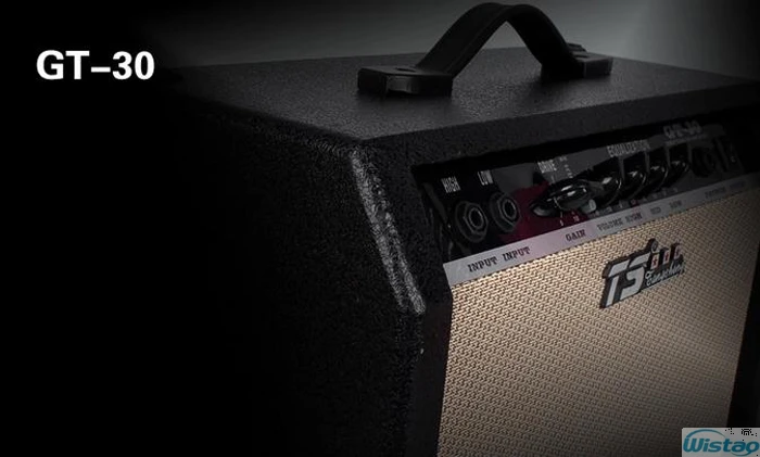 30W Digital Acoustic Guitar Amp Amplifier Speaker