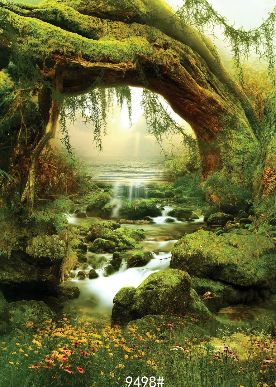 الغابة الخضراء في خرافة التصوير الخلفيات الحلم الضوء الأخضر