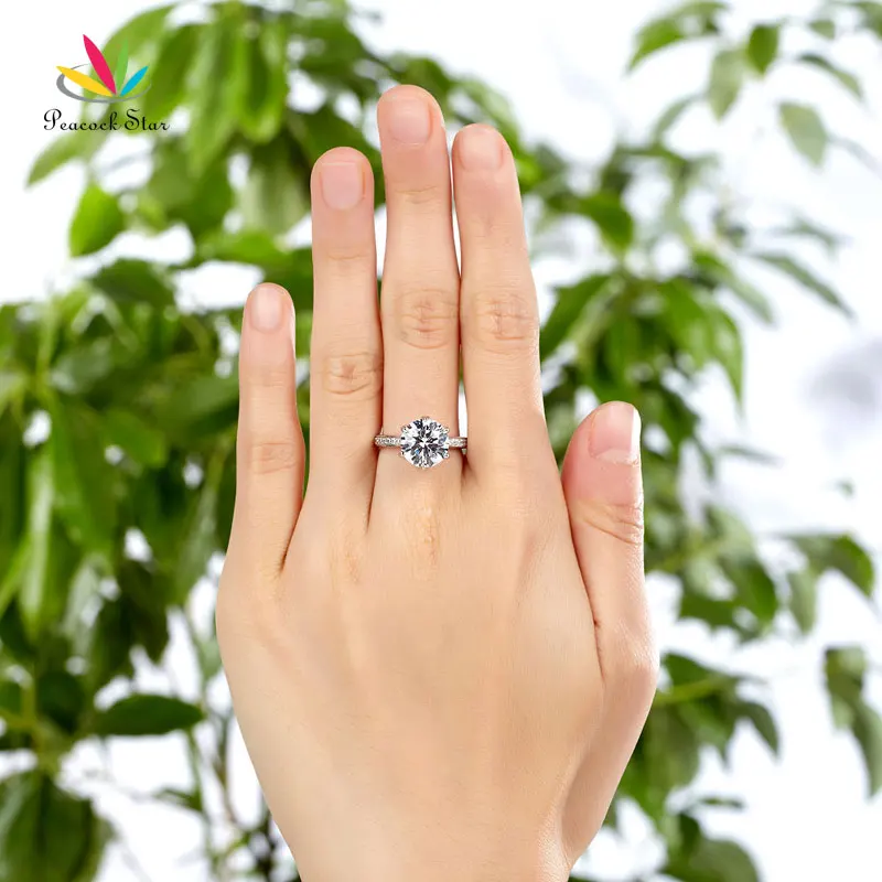 fr8228_hand_2