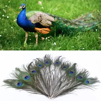 

10pcs/set Beautiful Natural Peacock Feathers Eyes For DIY Clothes Decoration Wedding Party 26-30cm peacock tail feathers