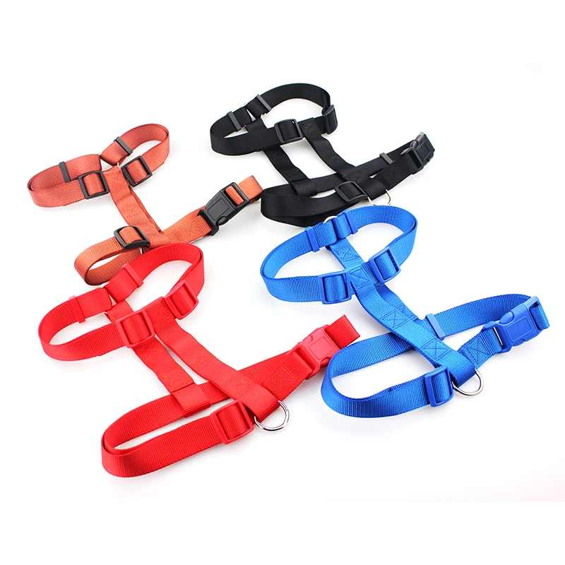 IMG_9062