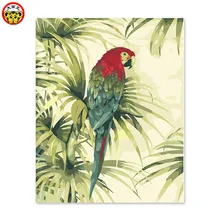 Цифровая самодельная картина маслом украшение гостиной спальни диван фон картина с попугаем по номерам британские американские
