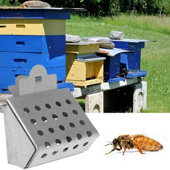 

Bee Cage Beekeeping Queen Bee Clip Catcher King Cage Rearing Breeding Tool