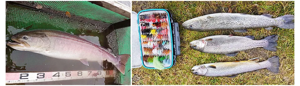 Moscas para Truta Molhado Seco Mosca Pesca Moscas Isca Conjunto Voar Amarrando Material Mão Amarrada Nymph Pike 225 Pçs 30 High Quality Esporte e Lazer
