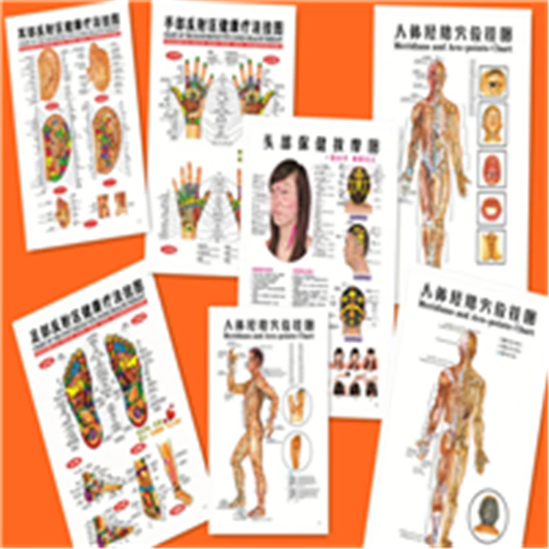 2017 Hot 7 pcs English Healthcare Human Acupuncture Wall Chart Diagram Foot Hand Head Ear Boby Acupuncture Meridian Chart