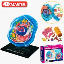 4D Animal cells Intelligence Assembling Toy HumanOrgan Anatomy Model Medical Teaching DIY Popular Science Appliances