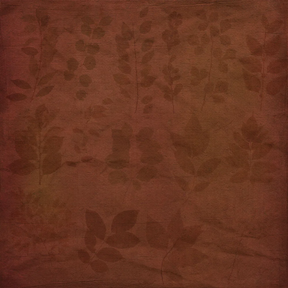 

8x8ft Vinyl Custom  Photography Backdrops Prop Vintage Photography Background JVT-624