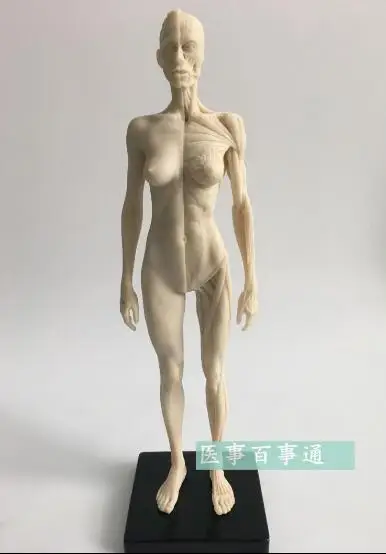 QQ20180724204919
