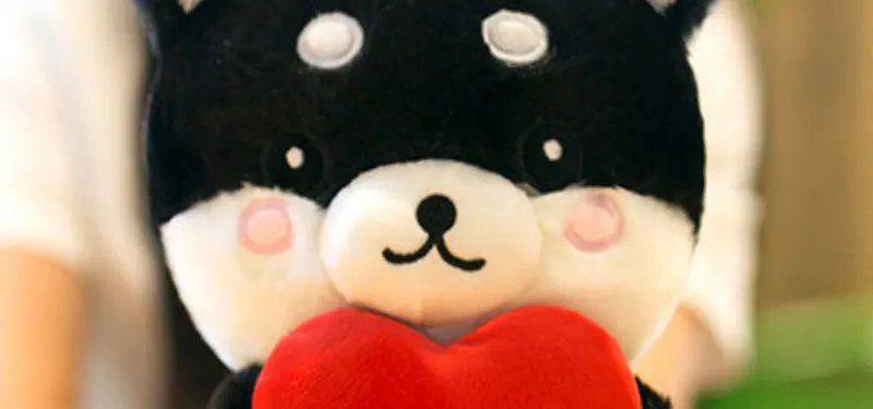 Plush Toys (20)