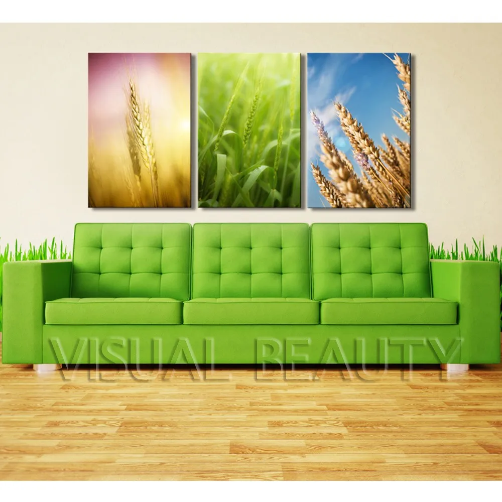 SJMD7062 40x60cmx3pcs