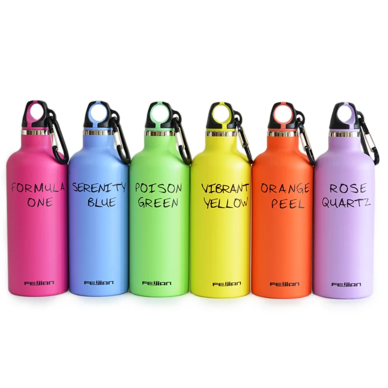 

FEIJIAN Vacuum Insulated Stainless Steel Sports Bottle Double Wall Flask Narrow Mouth Thermos LoopCap with Carabiner 500mL 17oz