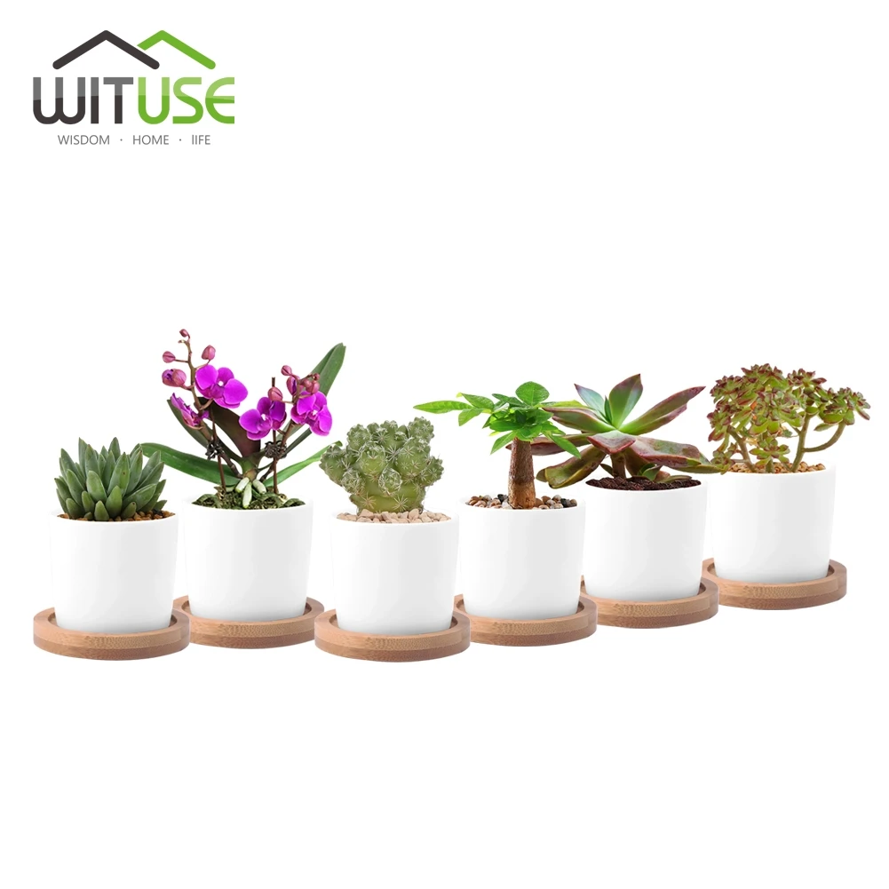 

WITUSE Mini Ceramic Flower Pots White Round Teacup Bonsai Pots Cute Planter Plant Flower Vases For Garden Desktop