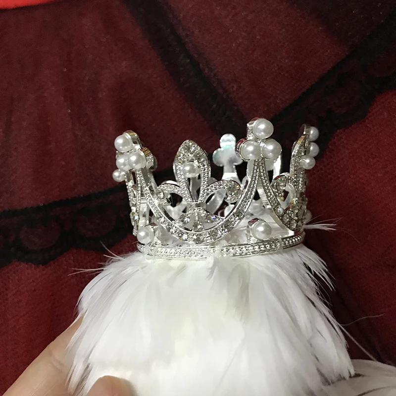 White and Black Swan Lake Ballet Headpiece Arabesque Life