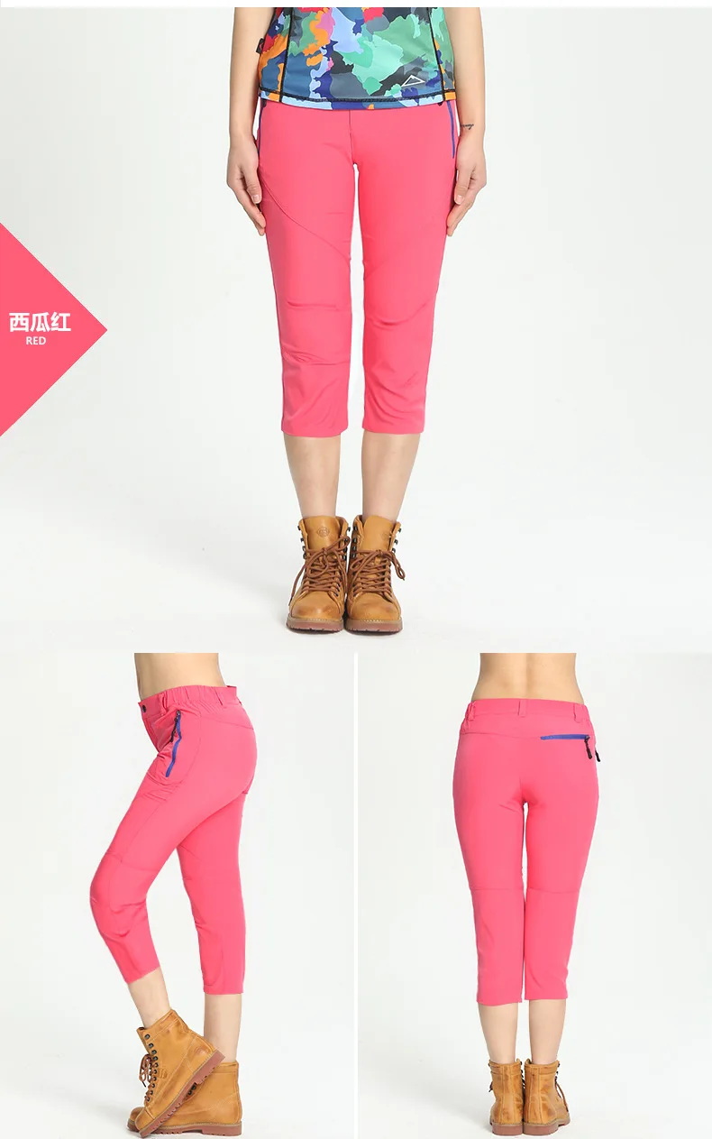 4029346816_1130746911