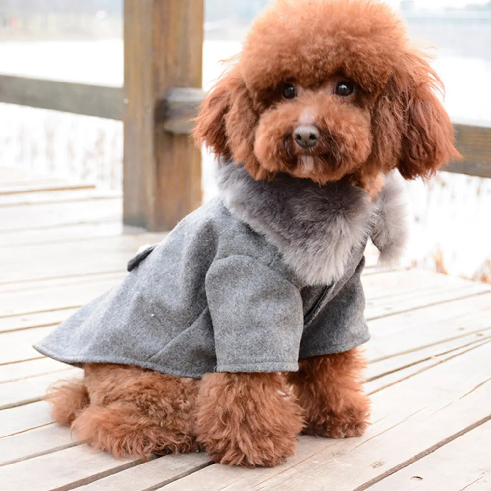 Зимняя одежда для собак, куртка с меховым воротником для питомцев, кошек, пальто, свитер, Теплая стеганая одежда для щенков, одежда для маленьких и средних собак, домашних животных