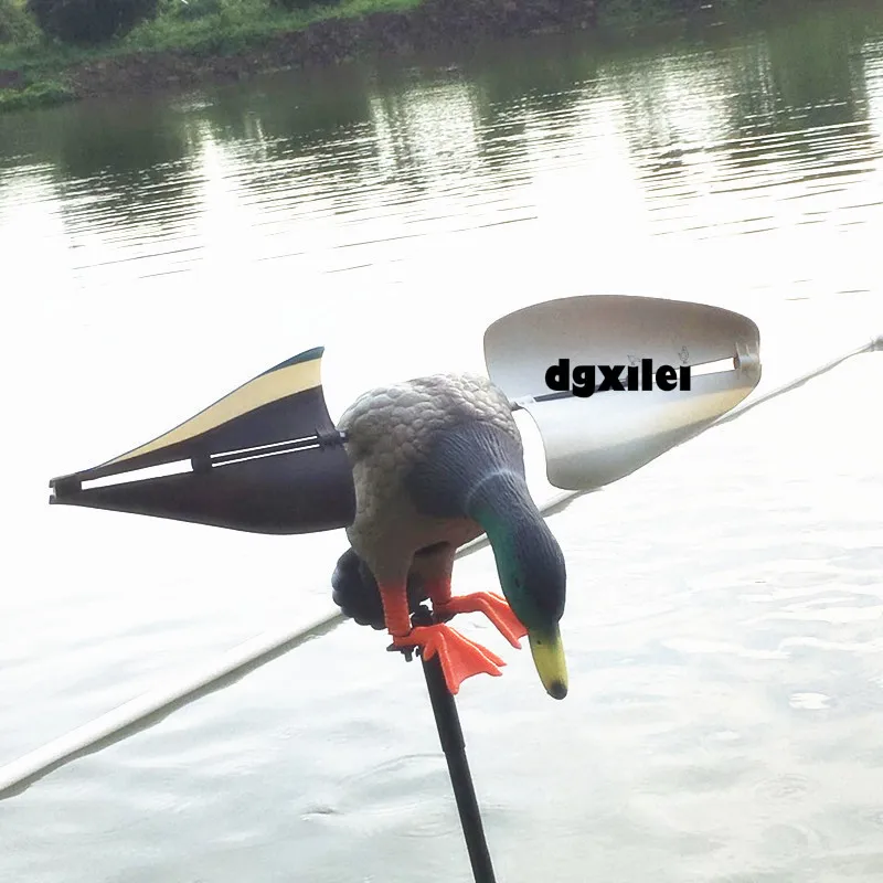 Wind duck (2)