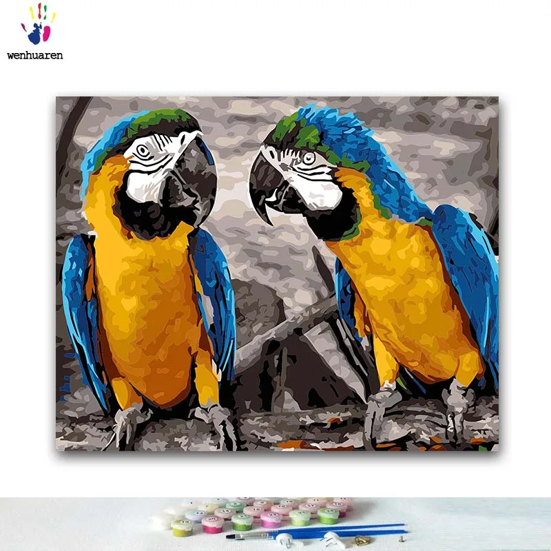 

DIY Coloring paint by numbers parrot paintings by numbers with kits 40x50 framed