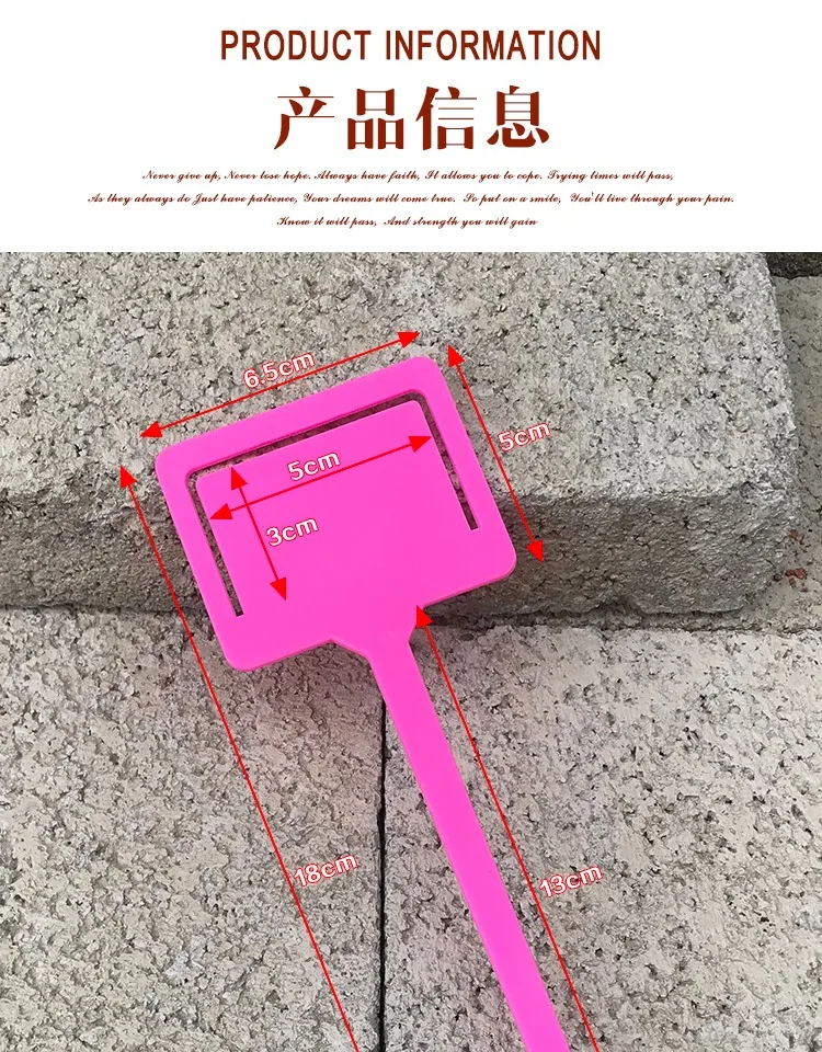 //img.alicdn.com/imgextra/i3/69116680/TB2BC2ZgIIrBKNjSZK9XXagoVXa_!!69116680.jpg
