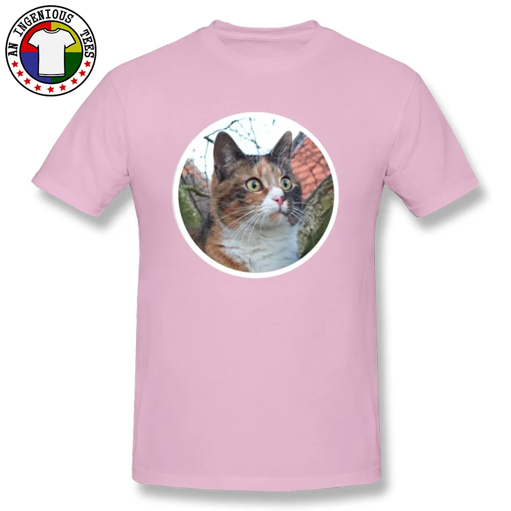 Beautiful Calico Cat New Design Short Sleeve Normal T-Shirt 100% Cotton Crewneck Men Tops Shirts Comics Sweatshirts Summer Fall Beautiful Calico Cat pink