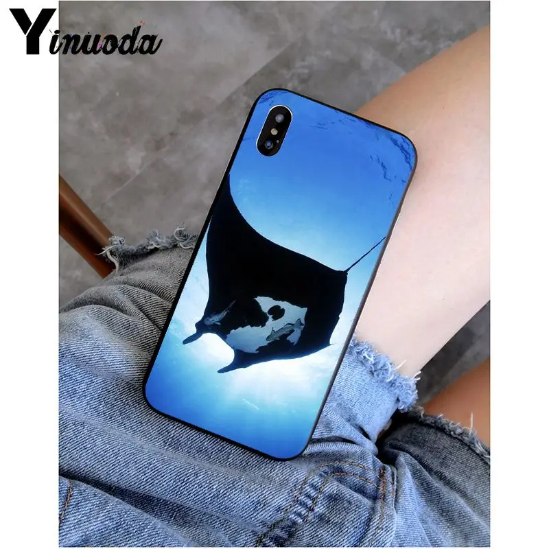Animal manta ray