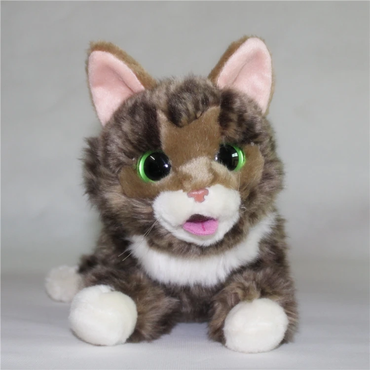 

Plush Cat Toys Christmas Gifts Good Quality Stuffed Animals Children's Toy Super Kawaii Big Eyes C Doll