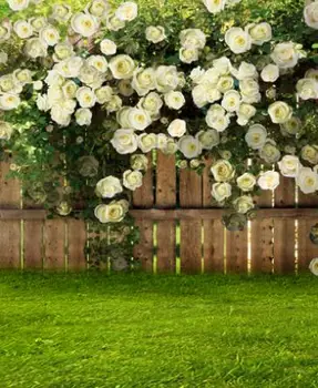 

LIFE MAGIC BOX 150X200Cm Vinyl Backdrops For Photography Green Grass Wooden Fence Photo Background Cm-5612