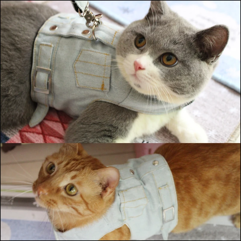 

Waistcoat cowboy chest straps pet cat rope the slip cat Garfield mi traction jacket rope teddy dog rope small dogs