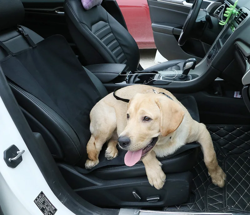 Car Backing Seat Cover 19