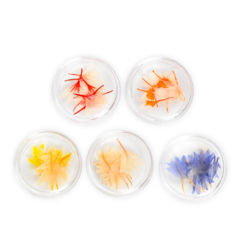 RBAN مسمار 3D مسمار الفن المجففة زهرة مختلط المحفوظة مسمار صائق ورقة الطبيعية ملصقا DIY مانيكير مسمار الفن زينة أداة