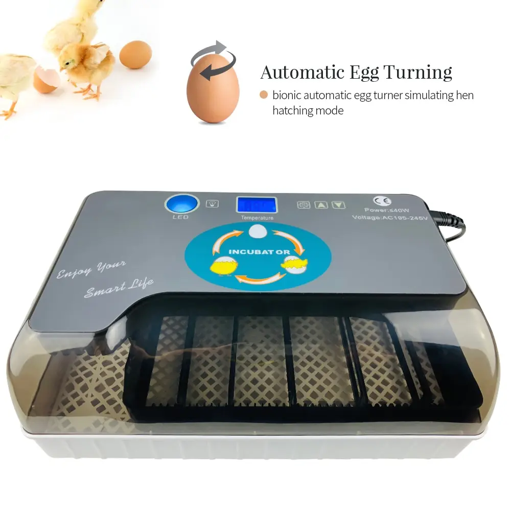 Digital Egg Incubator Automatic Egg Hatcher Automatic Turning 12 Eggs Chicken Birds Quail Brooder Egg Incubator Digital Egg Incubator Automatic Egg Hatcher Automatic Turning 12 Eggs Chicken Birds Quail Brooder Egg Incubator