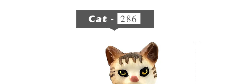 -8--MY6221_33