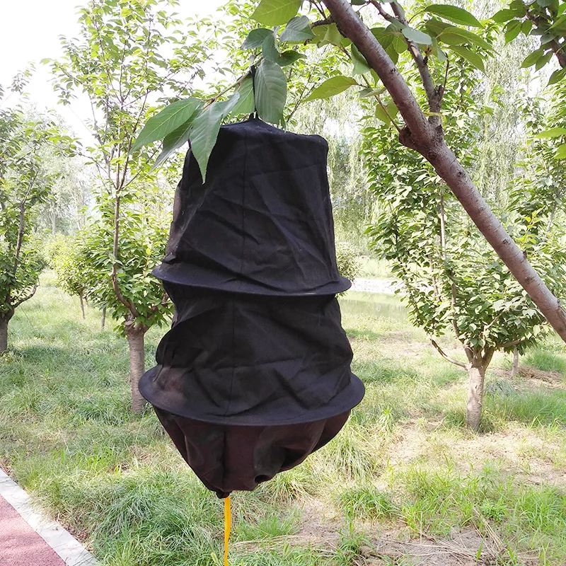 

3 Layers Bee Cage Wild Bee Recruit Cage Beekeeping Catching Tool Catch With Bees Wild Beekeeping Garden Supplies Outdoor Hot
