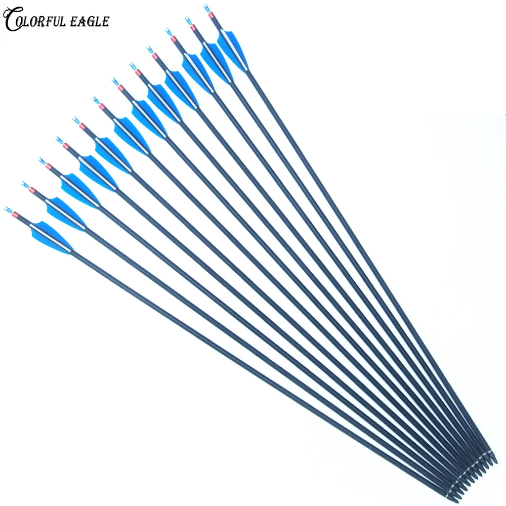 

Archery arrow 28/30/31 Inch Spine 500 Carbon Practice Hunting Arrows Removable for Youth Compound Recurve Bow Target
