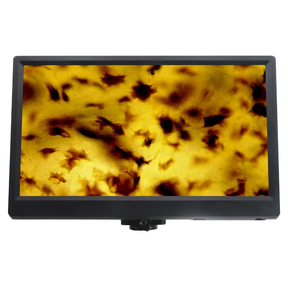

Цифровая камера AmScope 1080p HDMI-совместимая с Wi-Fi для автономной и компьютерной съемки + HD-монитор