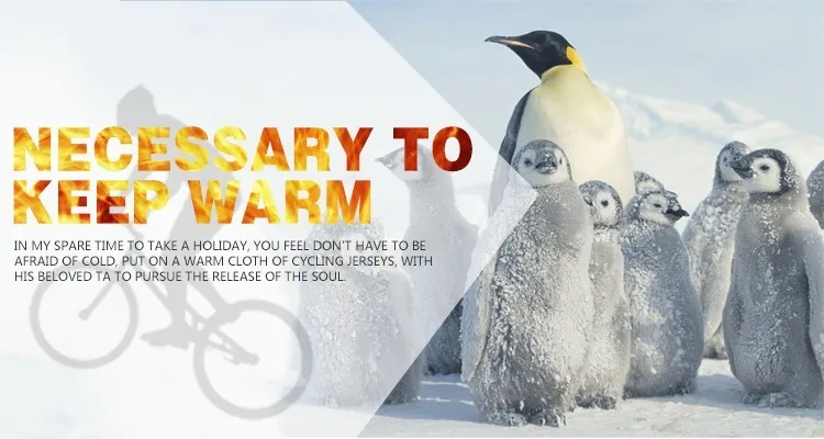 HTB1FfHhNVXXXXcXapXXq6xXFXXXY