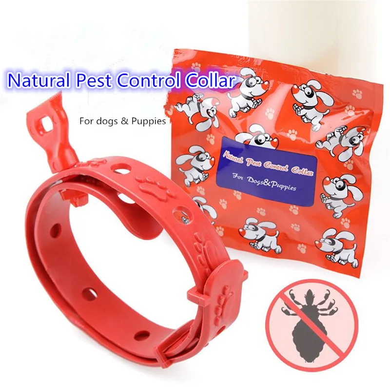I11 Pet Collar Natural Pest Control Collar For Small Dogs Can Kill