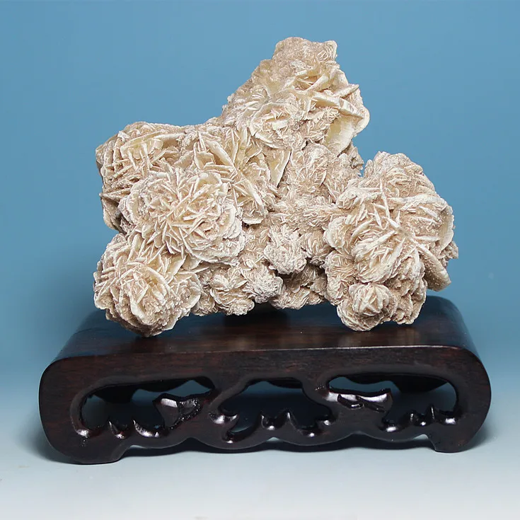 

Natural "never withered roses," Desert Rose stone mineral crystal valentines